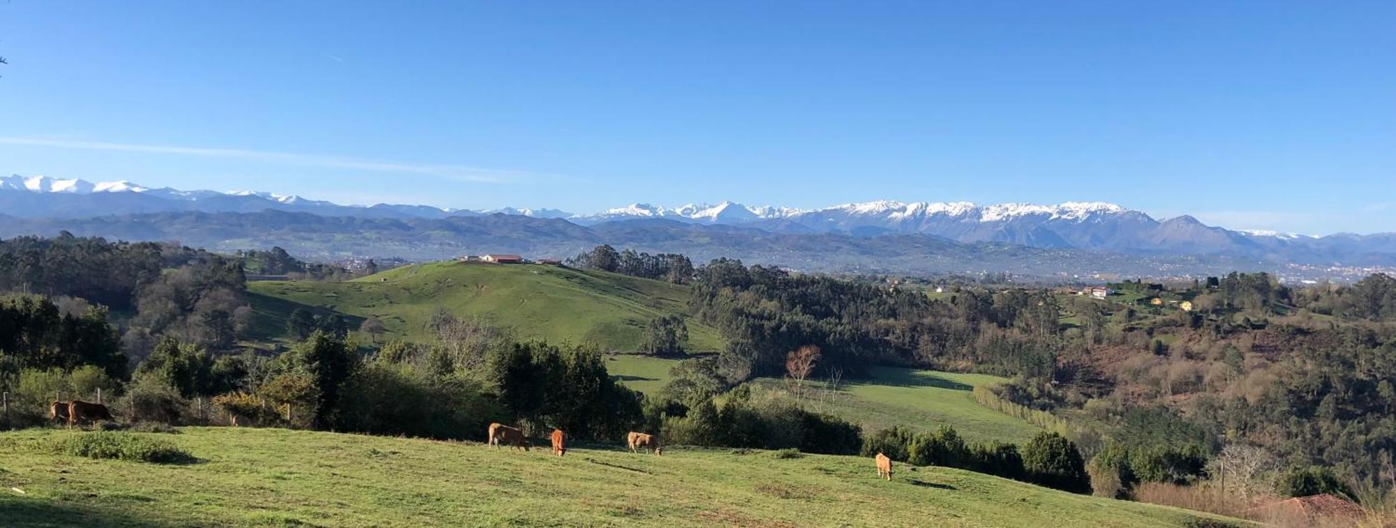 Casa Rural Trebol4Hojas San Pedro  Kültér fotó