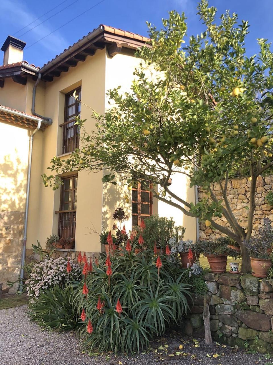 Casa Rural Trebol4Hojas San Pedro  Kültér fotó