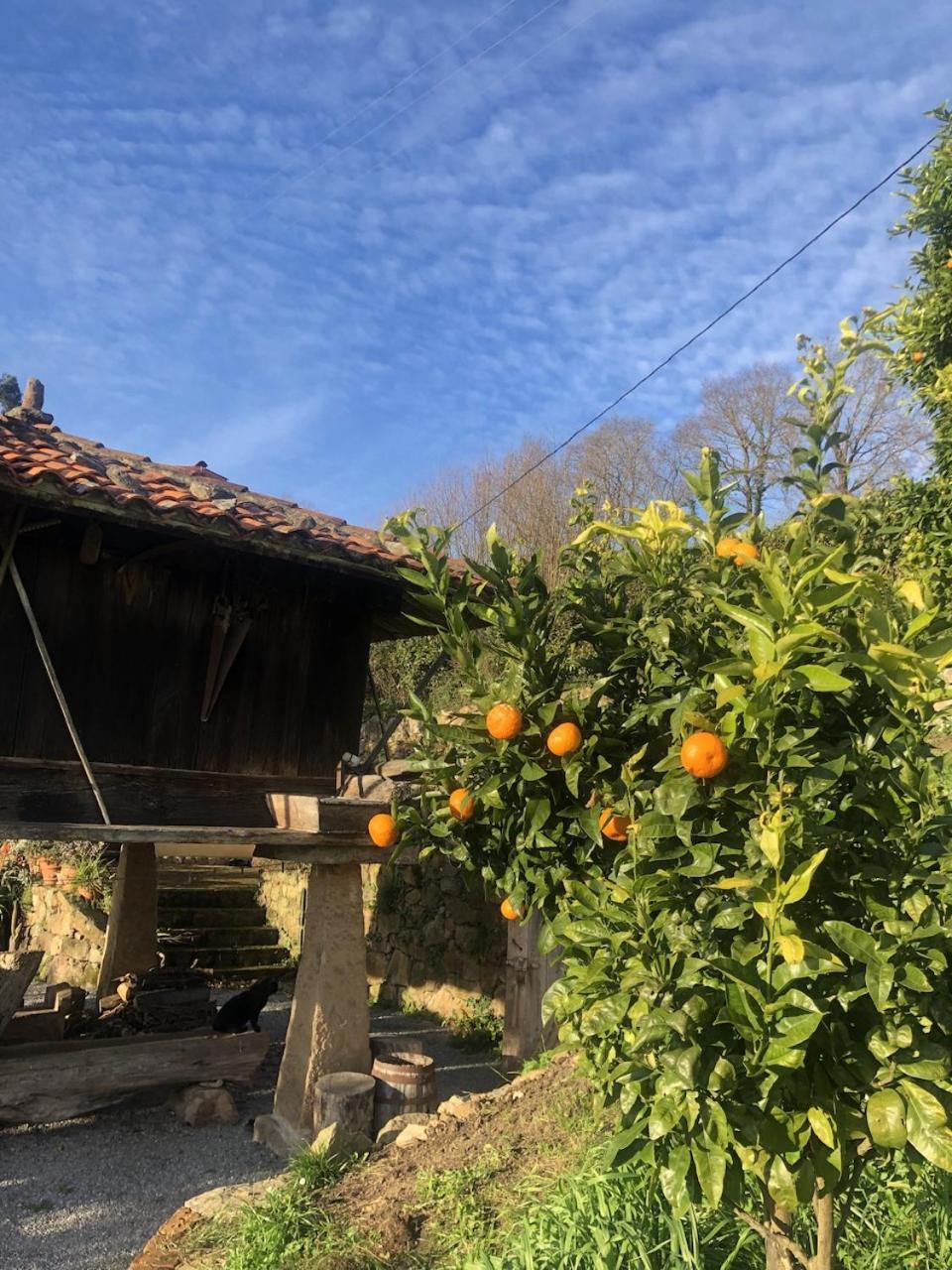 Casa Rural Trebol4Hojas San Pedro  Kültér fotó