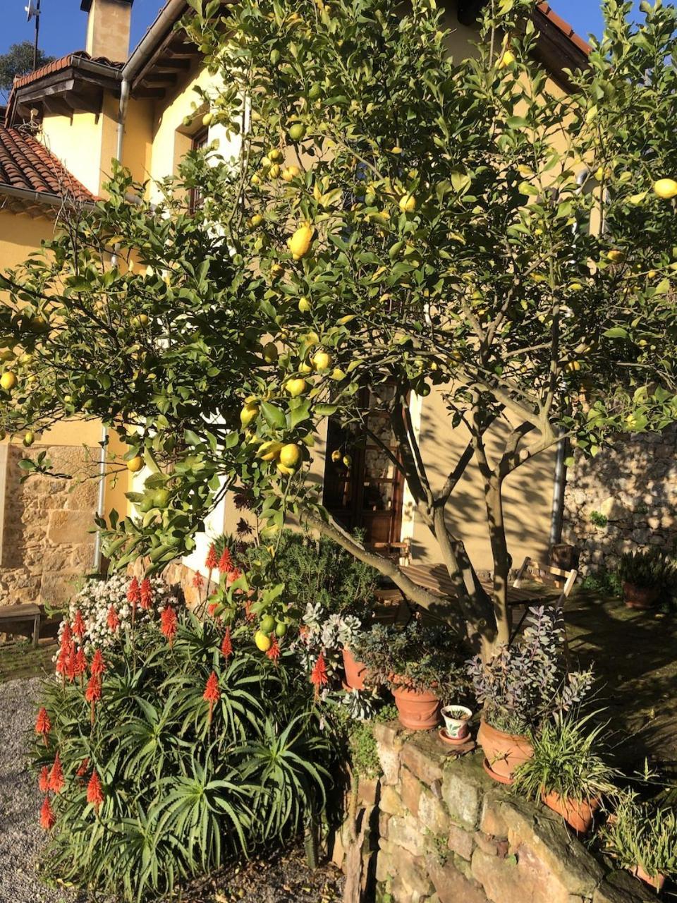 Casa Rural Trebol4Hojas San Pedro  Kültér fotó